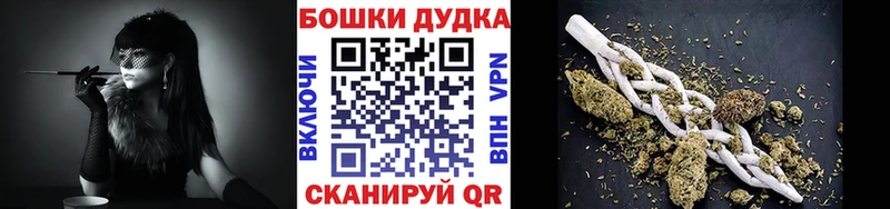 Где продают наркотики Елизово Канабис  Мефедрон  Галлюциногенные грибы  Гашиш  АМФ  Кодеин  СОЛЬ  Cocaine 