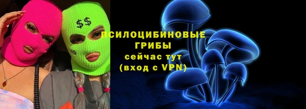 a pvp Володарск