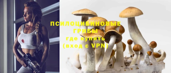 a pvp Володарск