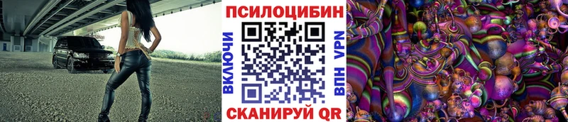 Галлюциногенные грибы MAGIC MUSHROOMS  KRAKEN как зайти  Елизово 