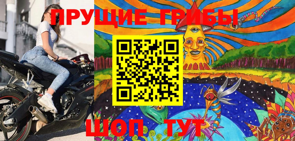 Галлюциногенные грибы MAGIC MUSHROOMS  Елизово  Псилоцибиновые грибы прущие грибы 